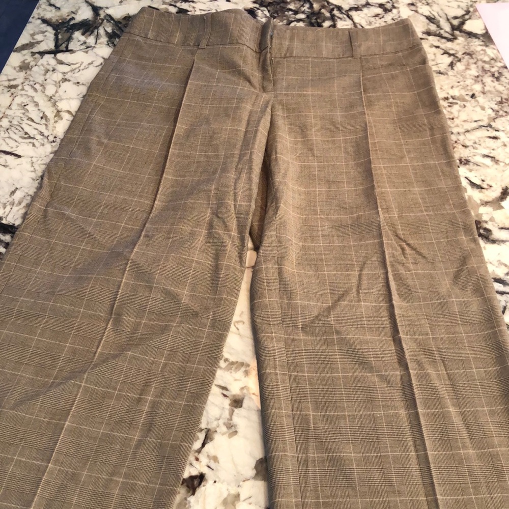 Twelfth street by Cynthia Vincent Capri pant